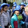 „Zielone ogródki przedszkolaków”