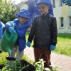„Zielone ogródki przedszkolaków”