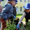 „Zielone ogródki przedszkolaków”