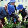 „Zielone ogródki przedszkolaków”