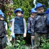 „Zielone ogródki przedszkolaków”