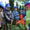 „Zielone ogródki przedszkolaków”