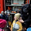 „Połaniecki Jesienny Las”