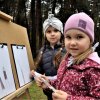 „Połaniecki Jesienny Las”
