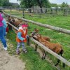 18. Wycieczka do Woli Baranowskiej