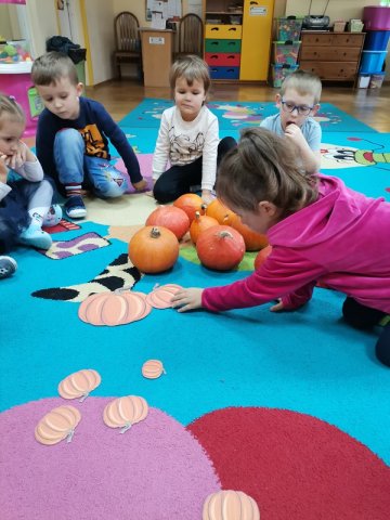 5. Dzień dyni