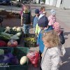 Poznajemy owoce i warzywa
