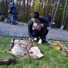 Drzewo w ramce-konkurs 2021