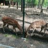 20. Wycieczka do Lisowa 