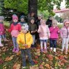 Witamy Jesień