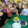12 Robimy sałatkę owocową