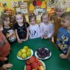 12 Robimy sałatkę owocową