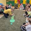 34. Dzień zielony-Wprowadzenie figury geometrycznej koło.