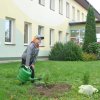 6. Dzień drzewa