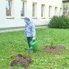 6. Dzień drzewa