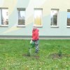 6. Dzień drzewa