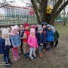 Dokarmiamy ptaki zimą