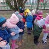 Dokarmiamy ptaki zimą
