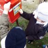 Dzień poczty/listonosza