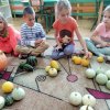 Dzień dyni w Jeżykach