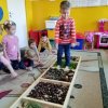 Jesienna ścieżka sensoryczna w Jeżykach