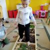 Jesienna ścieżka sensoryczna w Jeżykach