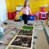 Jesienna ścieżka sensoryczna w Jeżykach