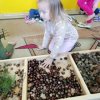 Jesienna ścieżka sensoryczna w Jeżykach