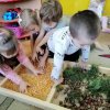 Jesienna ścieżka sensoryczna w Jeżykach