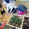 Jesienna ścieżka sensoryczna w Jeżykach
