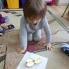 jeżyki poznają budowę jabłka
