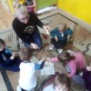 jeżyki poznają budowę jabłka