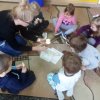 jeżyki poznają budowę jabłka