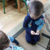 jeżyki poznają budowę jabłka