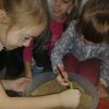 Jeżyki bawią się w paleontologów