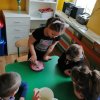 Jeżyki zakładają zielony ogródek