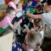Jeżyki zakładają zielony ogródek