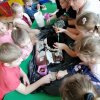 Jeżyki zakładają zielony ogródek
