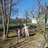 Egg Hunt