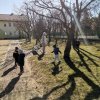 Egg Hunt
