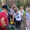 Powitanie jesieni w Słoneczkach