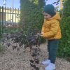 Słoneczka dbają o roślinkę adopcyjną
