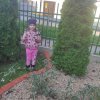 Słoneczka dbają o roślinkę adopcyjną