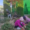 Słoneczka dbają o roślinkę adopcyjną