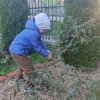 Słoneczka dbają o roślinkę adopcyjną