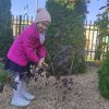 Słoneczka dbają o roślinkę adopcyjną