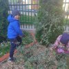 Słoneczka dbają o roślinkę adopcyjną