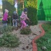 Słoneczka dbają o roślinkę adopcyjną
