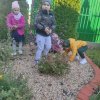 Słoneczka dbają o roślinkę adopcyjną