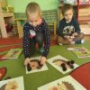 dzień jeża w Słoneczkach